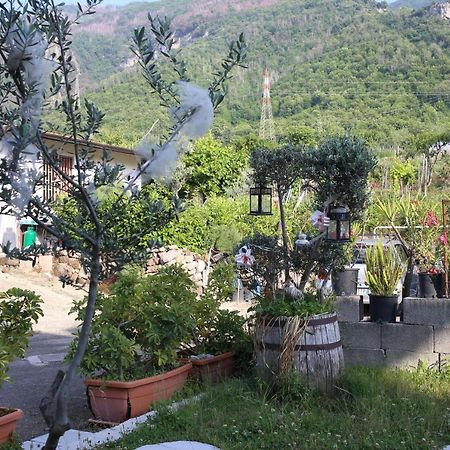 Annabella'S Country House SantʼAntonio Abate Екстериор снимка