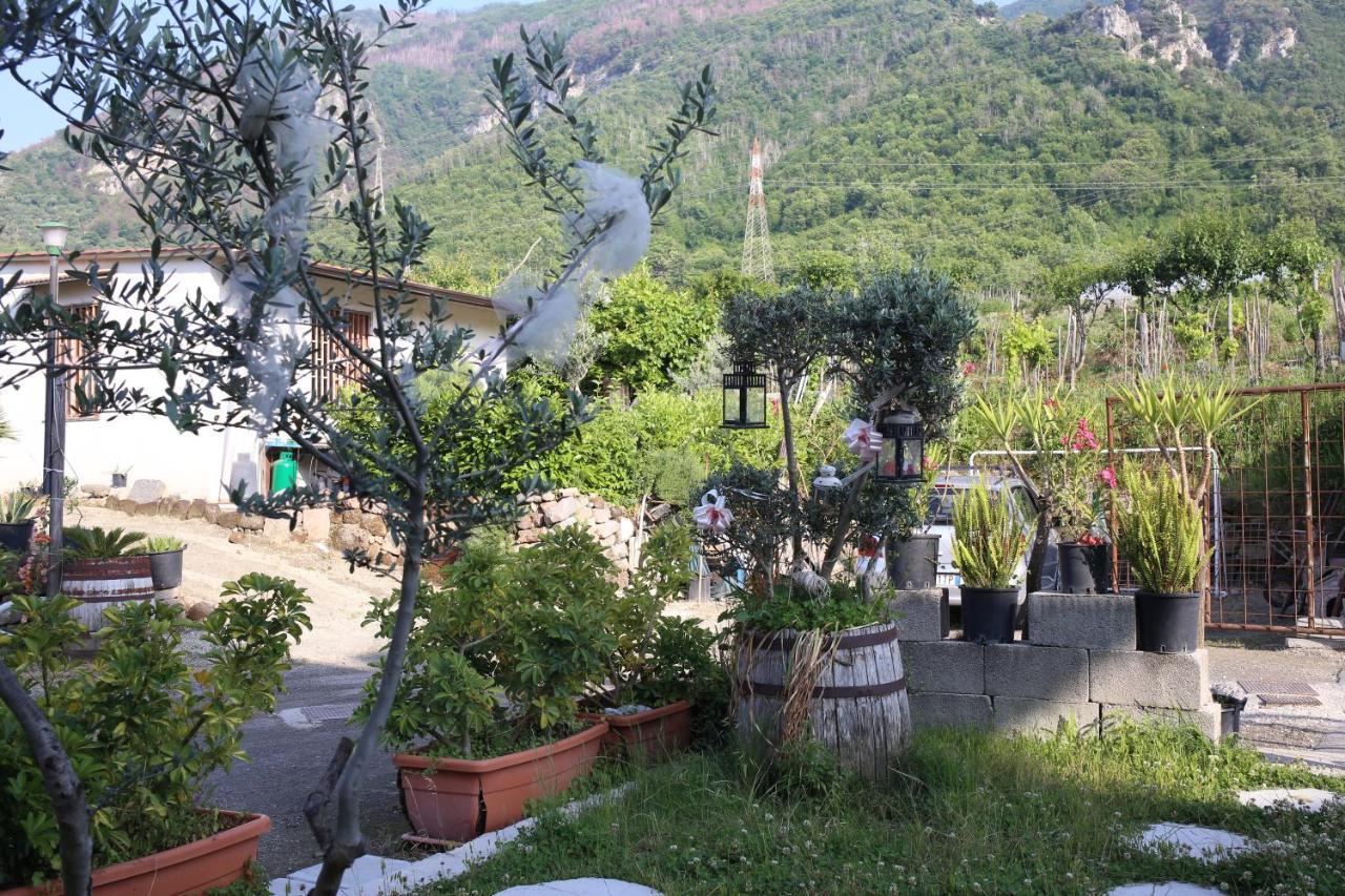 Annabella'S Country House SantʼAntonio Abate Екстериор снимка